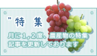 特集-月に1,2度、農産物の特集記事を更新しております-