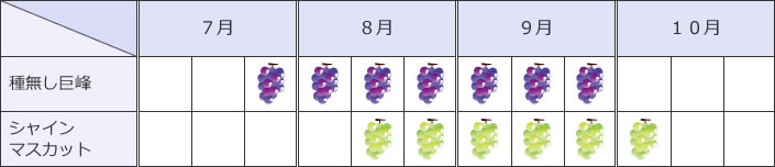 ぶどうの収穫時期