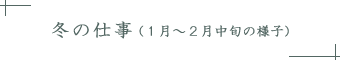 冬の仕事(1月～2月中旬の様子)