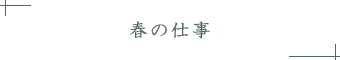 春の仕事