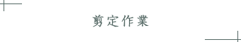 剪定作業