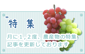 特集　月に1、2度農産物の特集記事を更新しております