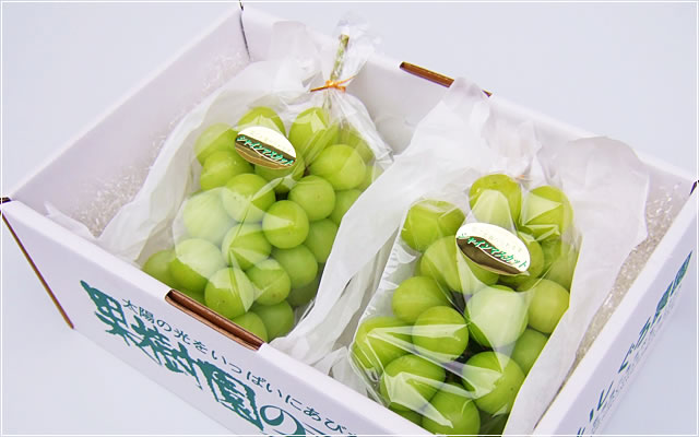 いしぐろ農園 / 商品紹介 - ぶどうについて -